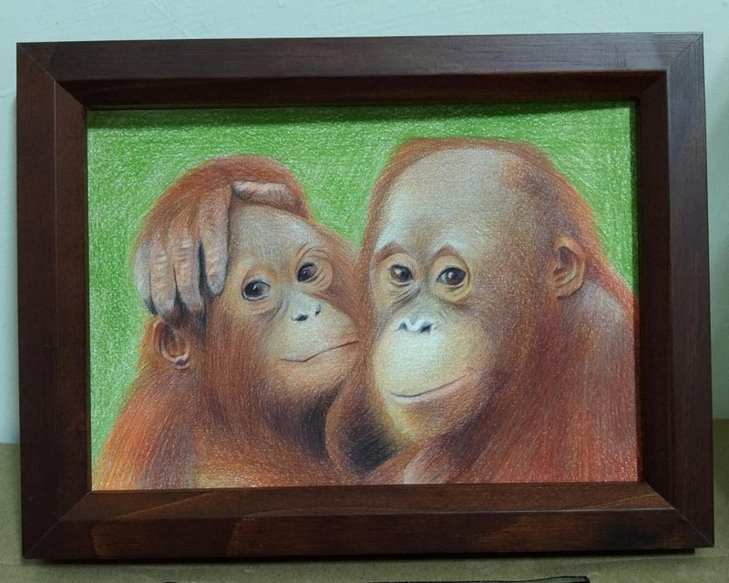 Decoration/ Orangutan/ Colored pencil drawing/ Original manuscript/ Framed - Posters - Paper 