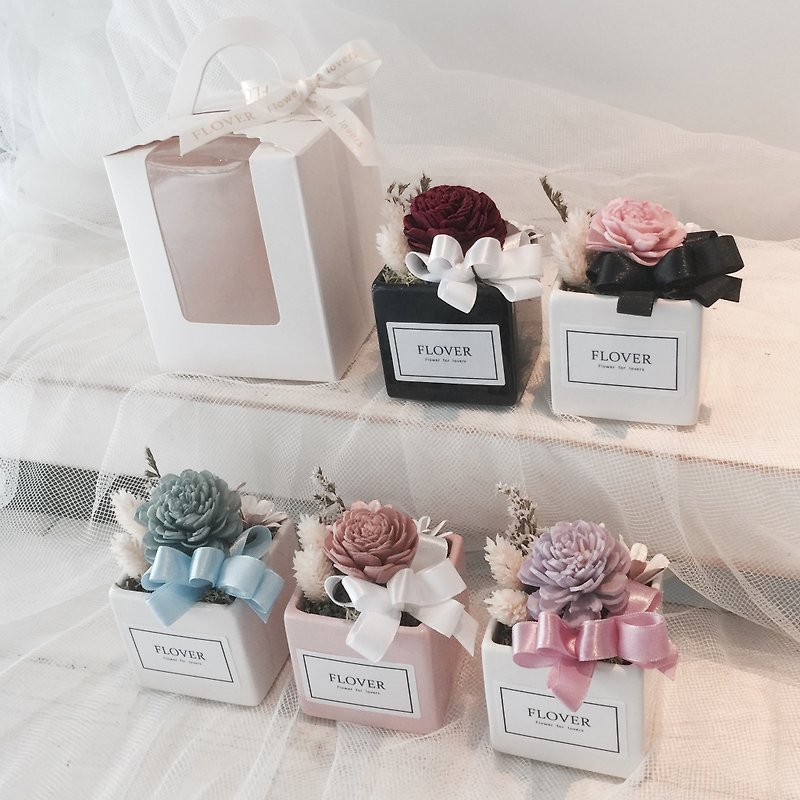 French fragrance dry small potted flower dry flower bridesmaid - ของวางตกแต่ง - พืช/ดอกไม้ 