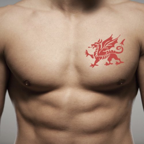 OhMyTat OhMyTat 威爾士龍 Welsh Dragon 刺青圖案紋身貼紙 (2 張)