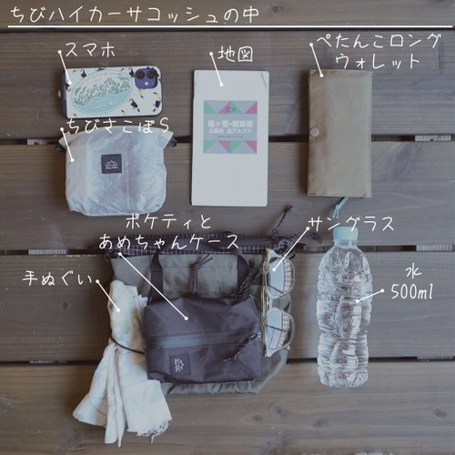 当季大流行 500x0.jpg ショルダーバッグ