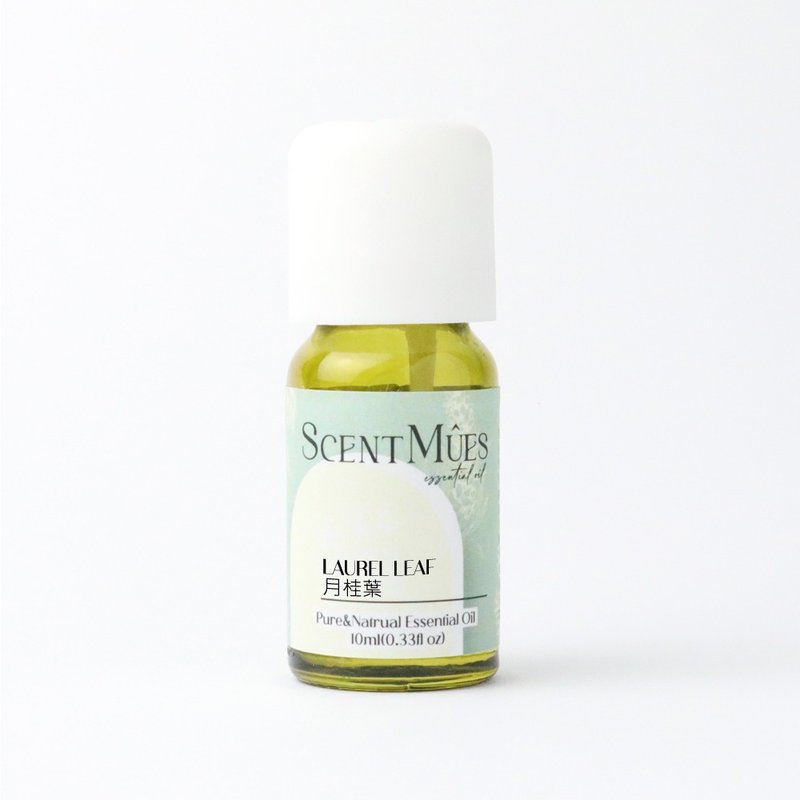 【ScentMûes】Bay Leaf Essential Oil 10ml - น้ำหอม - น้ำมันหอม 