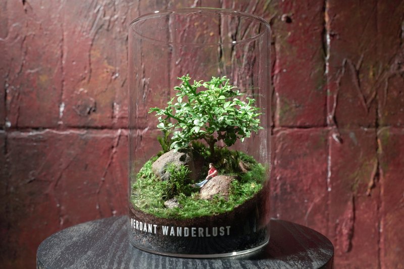 【テラリウム-ゆっくりと過ごす場所】ミニチュアガーデン 室内植物 ギフト オフィス装飾 - 観葉植物 - 寄せ植え・花 グリーン