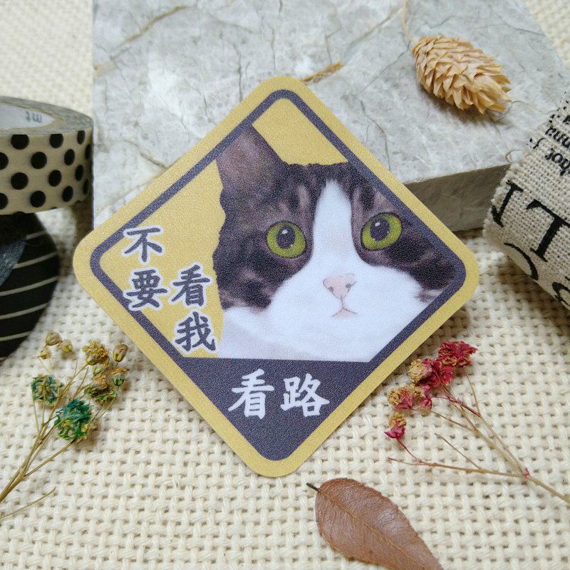 Mercedes-Benz Cat-Waterproof Car Sticker-Don’t Look at Me, Look at the Road- Cat Lover Certification-Benz Cat-Cat_Waterproof Sticker - สติกเกอร์ - วัสดุกันนำ้ 