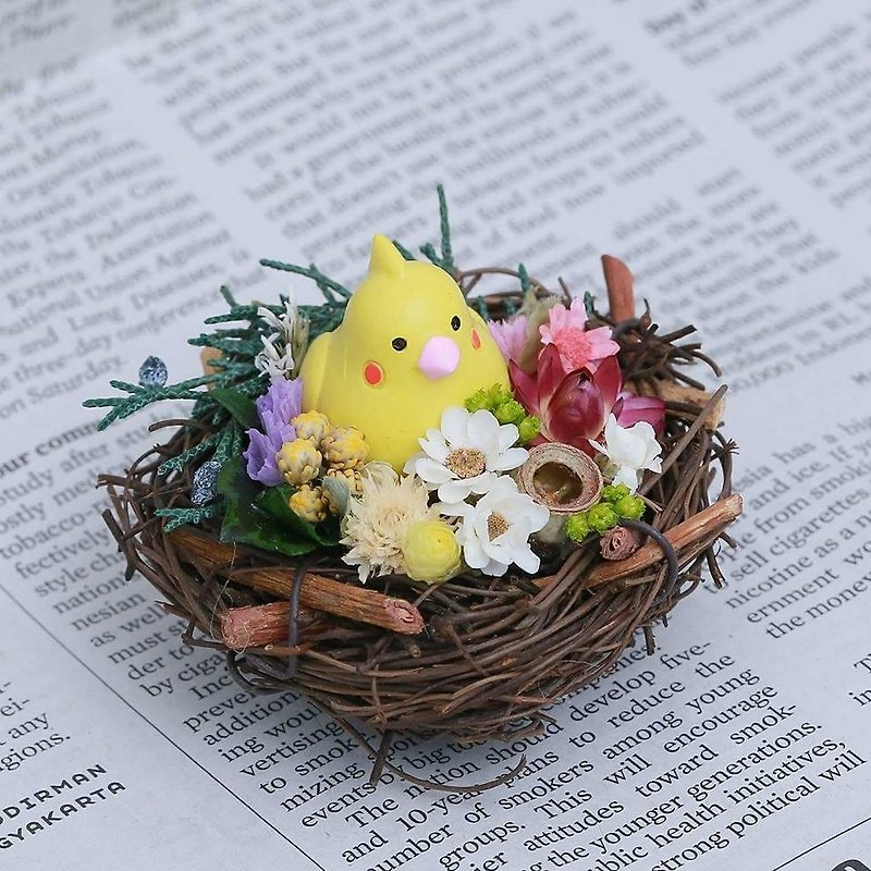 Three hand-made floral blush cat cockatiel nest of dried flowers - Items for Display - Plants & Flowers Yellow
