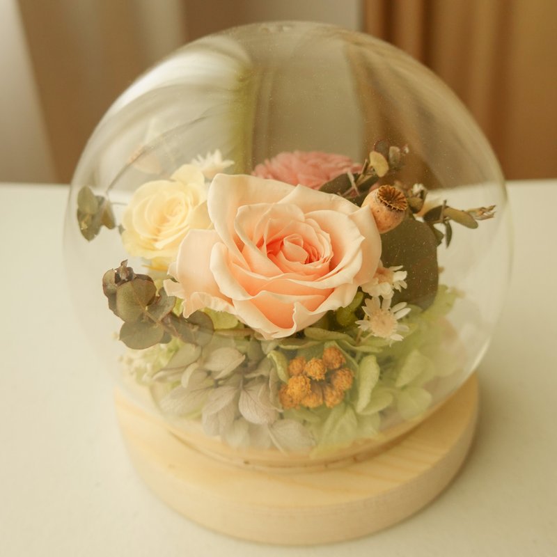 Preserved flower glass cup-peach color - Dried Flowers & Bouquets - Plants & Flowers Orange