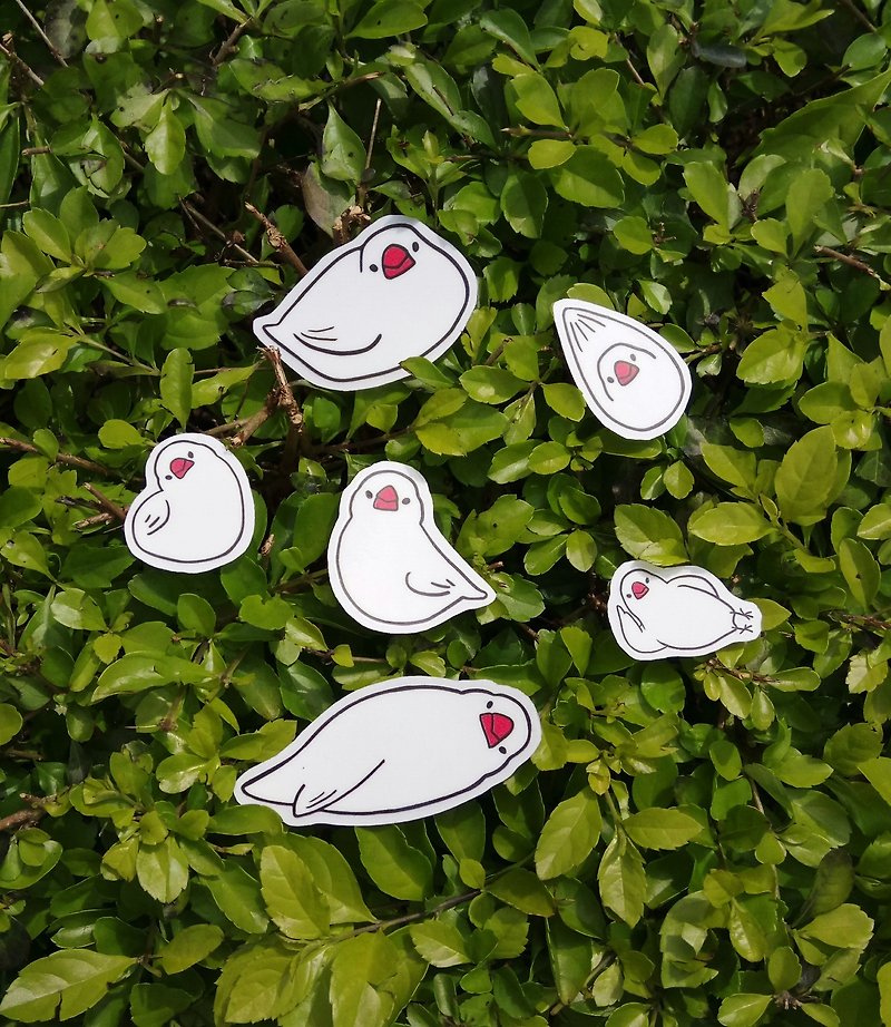Java sparrow sticker Sheets (Adventure) - Stickers - Paper Red