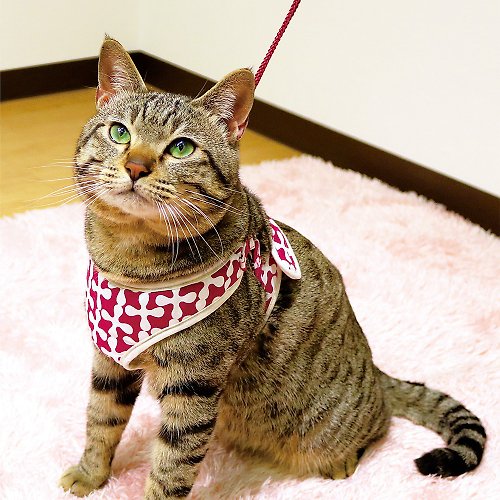 DoggyMan 日本寵物國民品牌 【日本CattyMan】貓咪胸背+牽繩組 多種顏色 尺寸