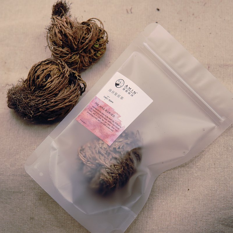 【AMIN療癒綠洲】綠洲聖經復活草 - 香氛/精油/擴香 - 植物．花 