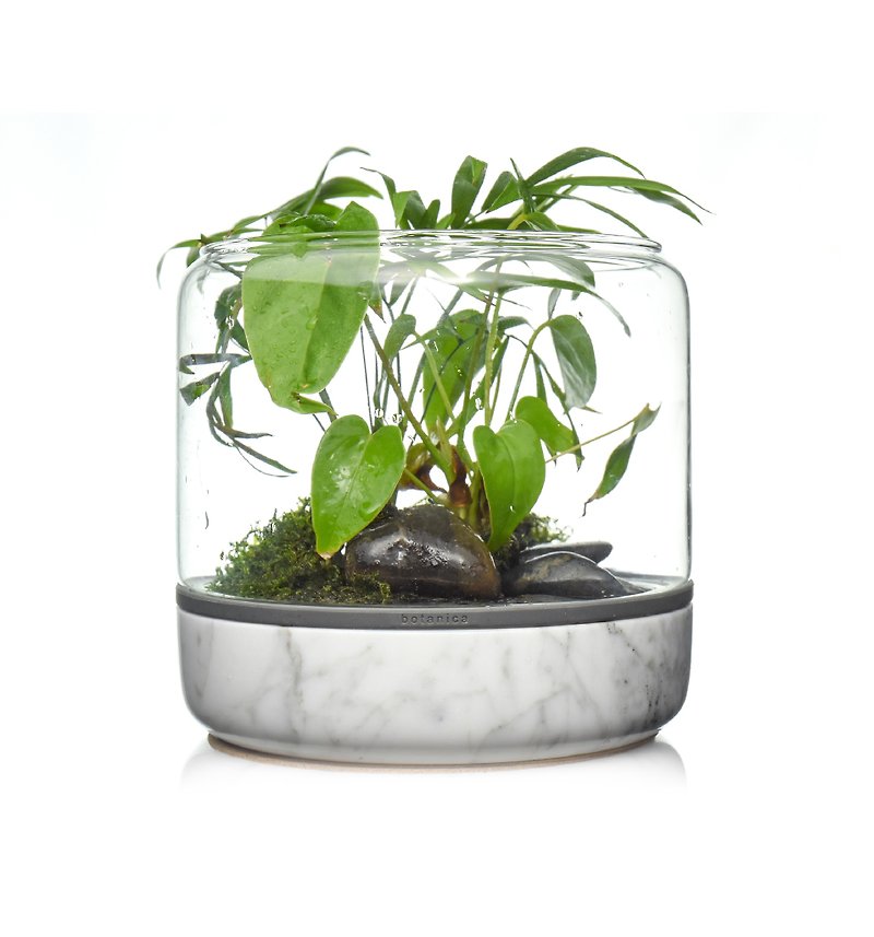 Marble plant bottle open glass cover office indoor planting suitable for foliage plants - Plants - Other Materials 
