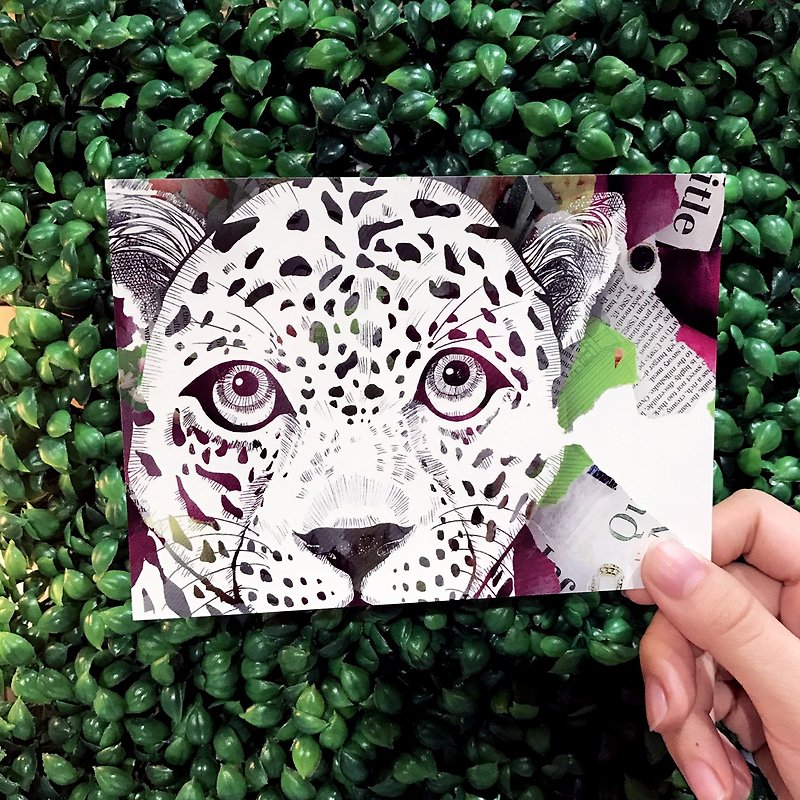 Paper Shoot I SEE YOU! series Postcard - Panthera - Cards & Postcards - Paper Multicolor
