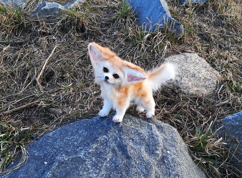 Fennec fox art doll poseable, OOAK Fantasy creature toy plush - 玩偶/公仔 - 其他材質 橘色