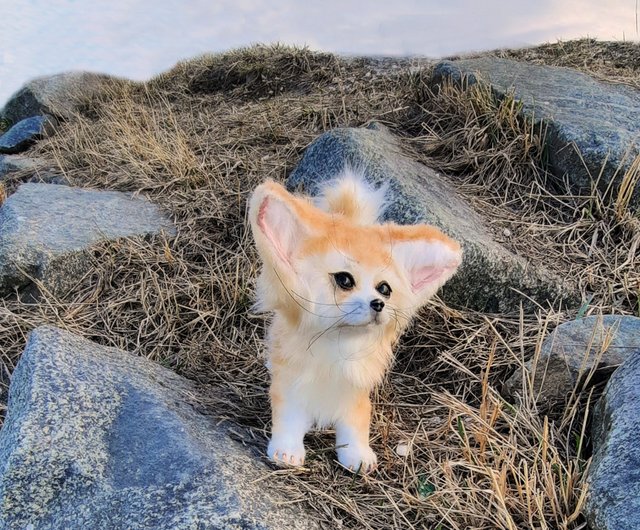 Realistic fennec fox toy - Shop MoonFoxToys Stuffed Dolls & Figurines -  Pinkoi