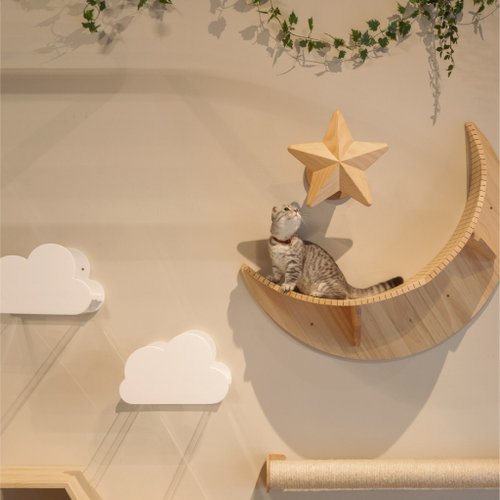 【クリア（透明）キャットステップ】MYZOO-MOKU クリア（透明）キャットステップ】MYZOO-MOKU（全2色）