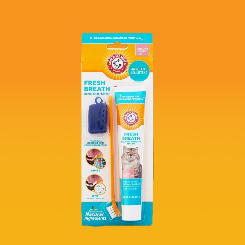 [Arm & Hammer] Teeth cleaning training kit for pet cats - ทำความสะอาด - วัสดุอื่นๆ สีส้ม