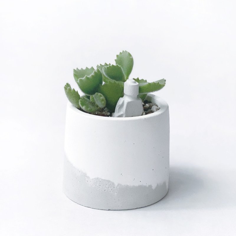 (預購) 白灰漸層系列 | 熊童子 贈小機器人 圓形水泥多肉植栽 - 盆栽/植栽 - 植物．花 灰色