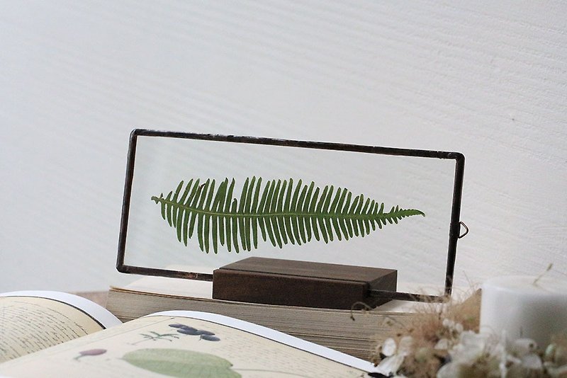 Foliage Plants Illustrated Book∣Glass Inlay∣Plant specimens∣Gift free engraving - Dried Flowers & Bouquets - Plants & Flowers 