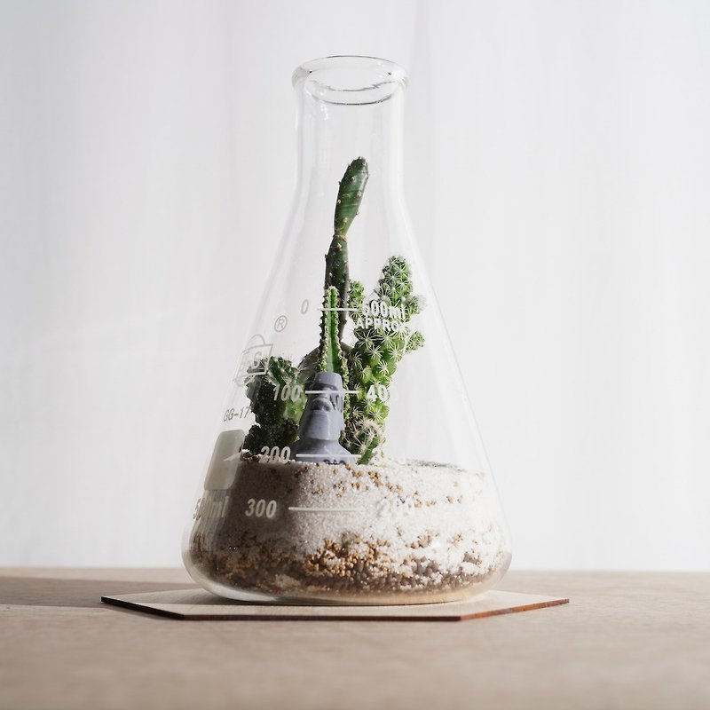 モアイと500ml三角ビーカー/サボテン植物[植物保証]ギフト - 観葉植物 - ガラス グリーン