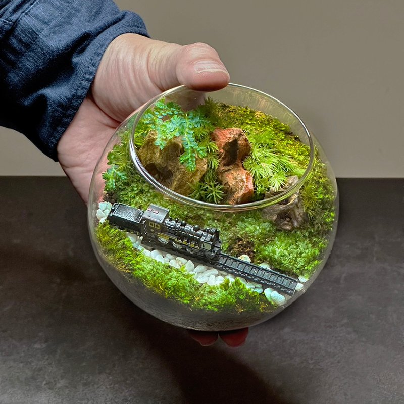 越嶺者 / 手工微景觀生態盆 - 盆栽/植栽 - 植物．花 