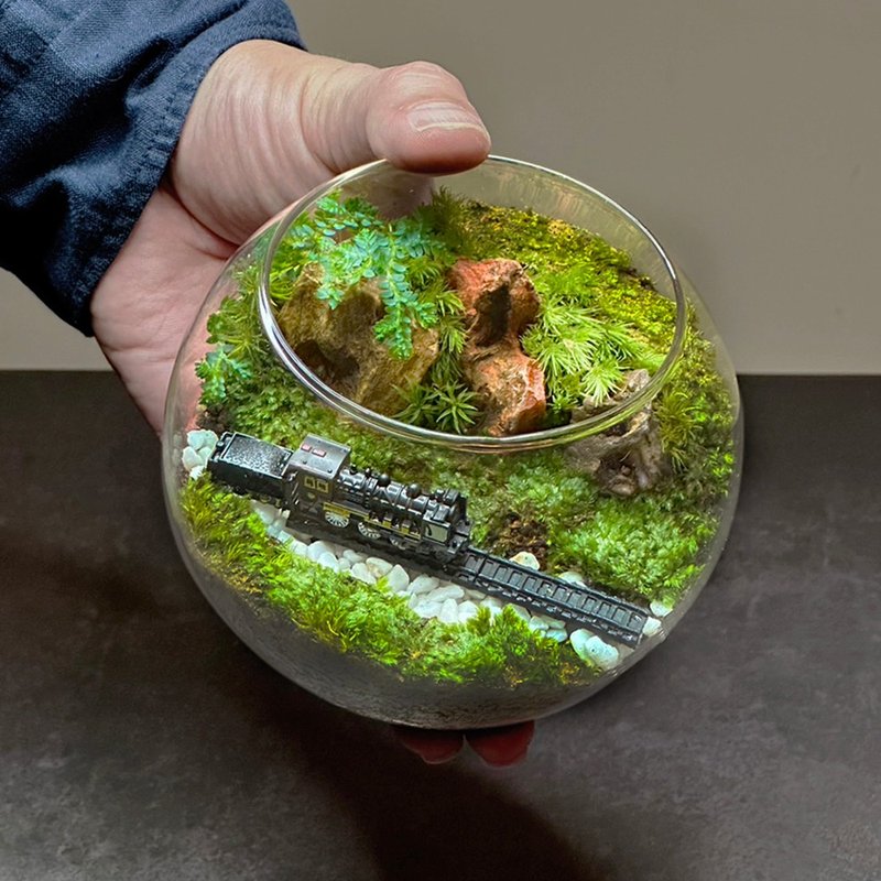 越嶺者（峠を越える者） / 手作りミニチュア生態ポット - 観葉植物 - 寄せ植え・花 