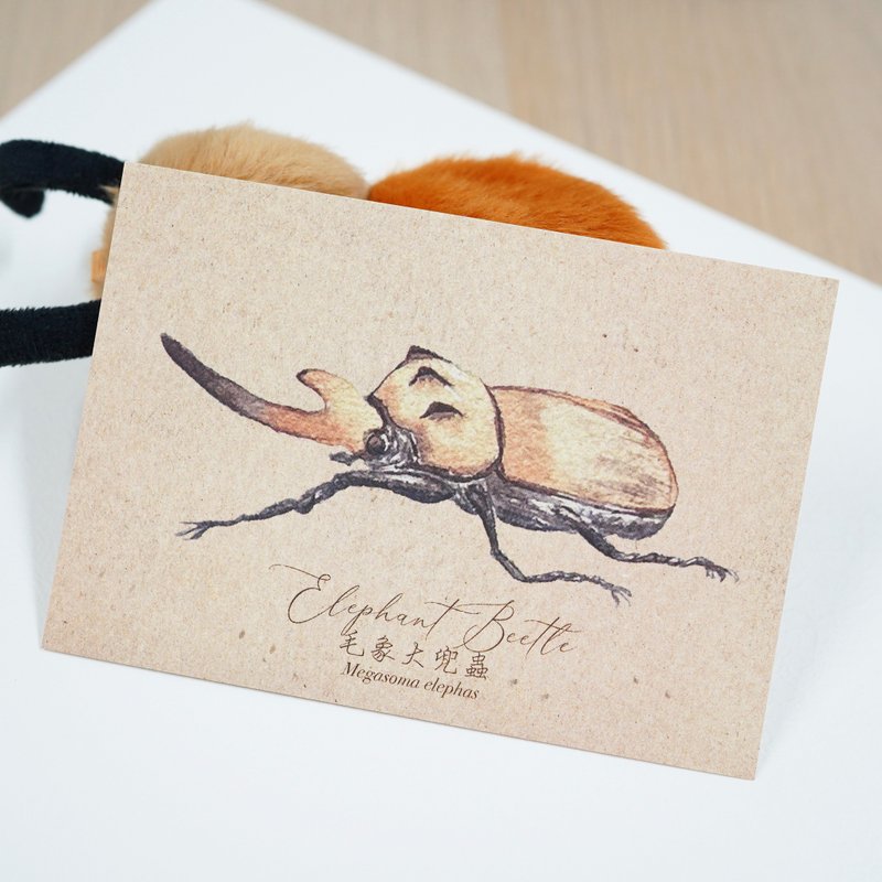 【Mr Beetles - Elephant Beetle】Art Print Postcard - การ์ด/โปสการ์ด - กระดาษ สีนำ้ตาล