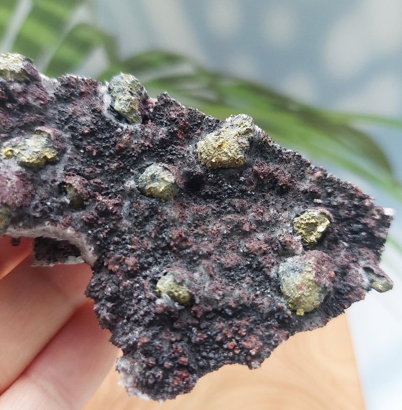 Barite Chalcopyrite 重晶石 黃銅礦 共生礦 天然礦石 原礦 - ของวางตกแต่ง - วัสดุอื่นๆ 