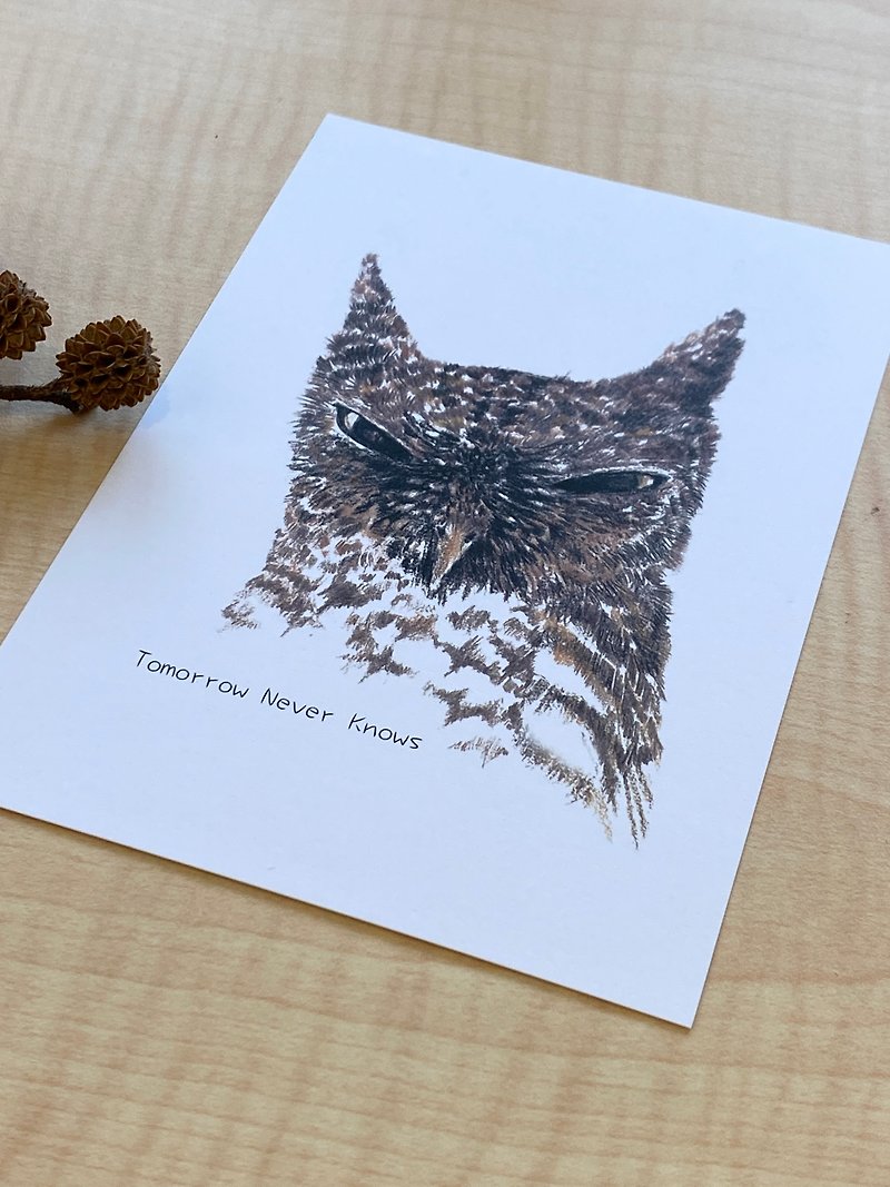 Hand drawn angry collared owl Tomorrow never knows postcard - Cards & Postcards - Paper White