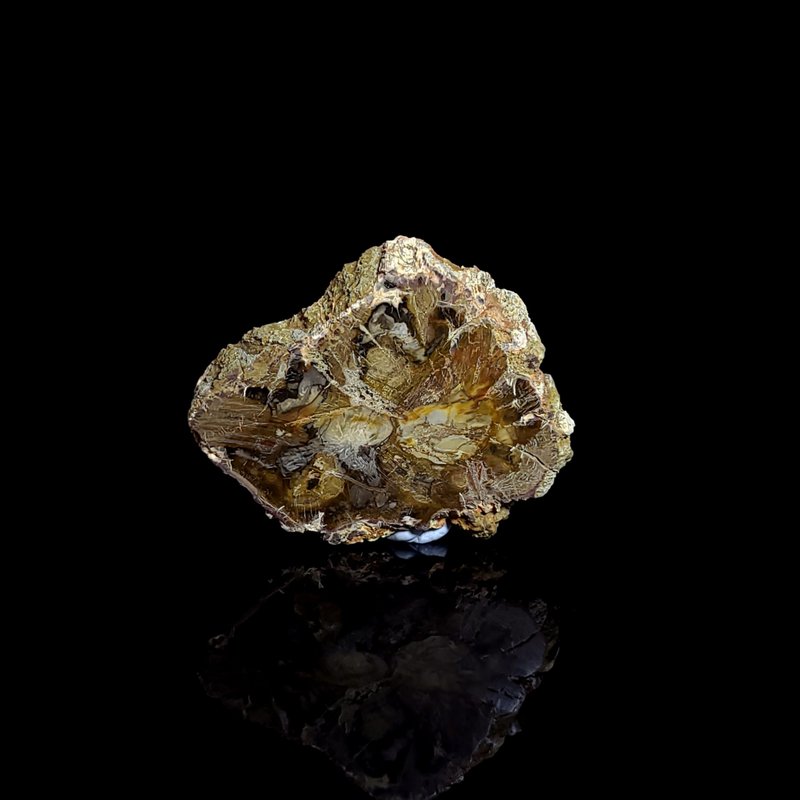 【木化石】- 798 - 其他 - 水晶 黑色