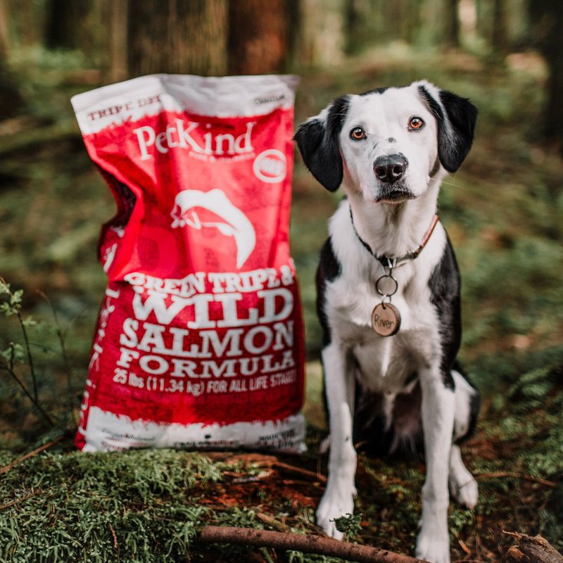 [Dog staple food] PetKind wild salmon natural fresh grass belly dog ​​food dog food fur health - อาหารแห้งและอาหารกระป๋อง - อาหารสด 