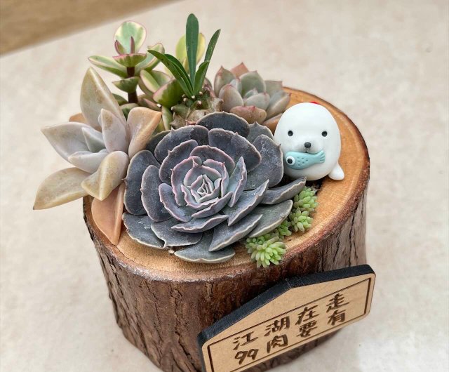 ホワイトシールダイアリー～多肉植物 丸太開き鉢植え（マグネットプレート付） - ショップ LittleDayPlants 観葉植物 - Pinkoi