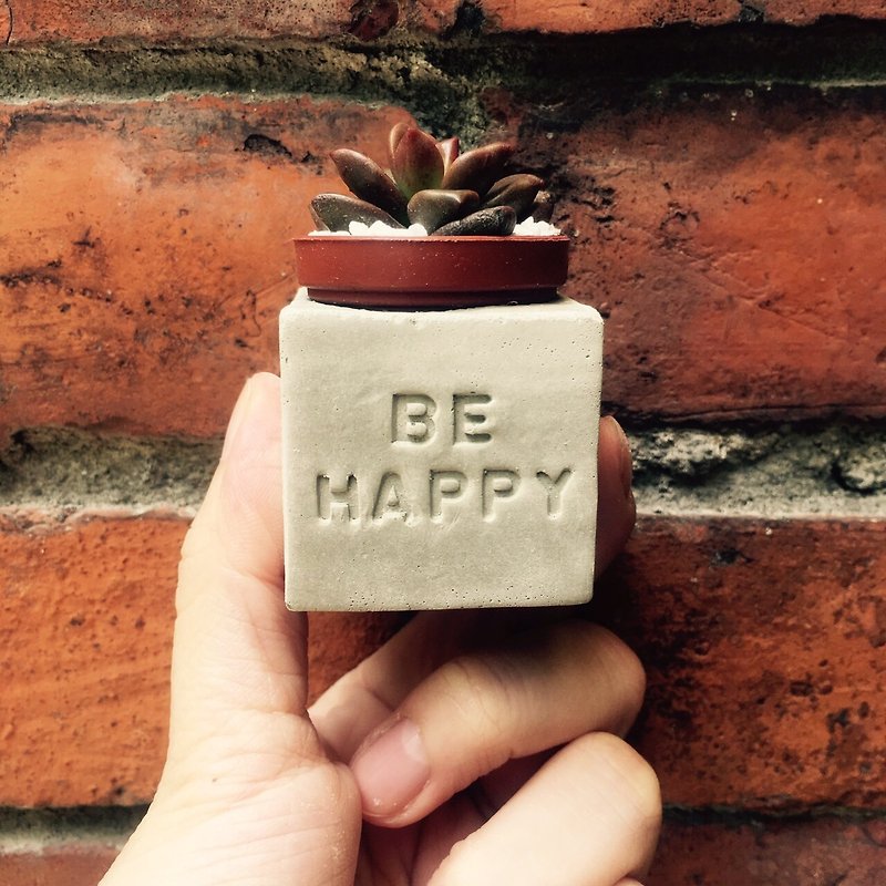 Be Happy~! Succulent Magnet Potted Plant - Plants - Cement Gray