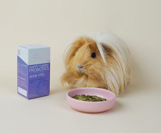 Guinea shop pig probiotic