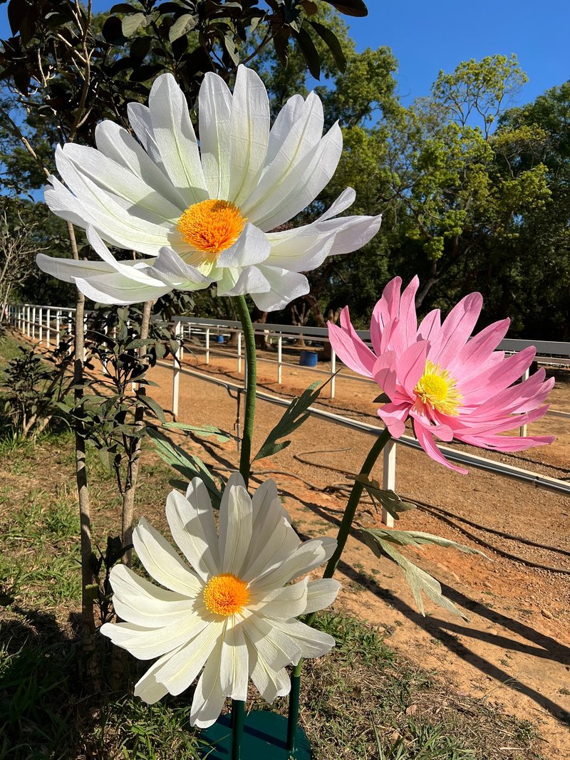巨型花藝*紙藝雛菊* - 植栽/花藝 - 紙 