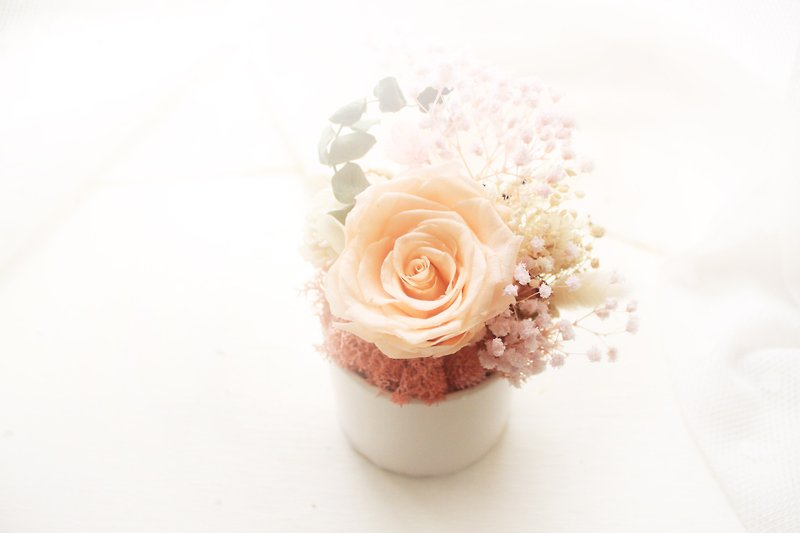 マイクロ秋の花小さな丸いテーブルの花、アプリコットパウダー、永遠のバラと星の花の式典 - ドライフラワー・ブーケ - 寄せ植え・花 