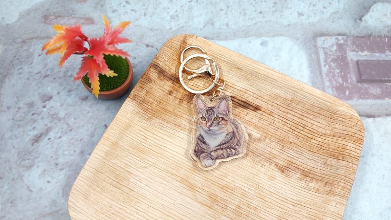 Tricolor Cat - Clear Double Layer Acrylic Charm Keyring - ที่ห้อยกุญแจ - อะคริลิค 