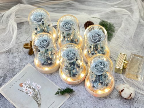 Rosemary Flora Rosemary小小花園玻璃罩珍藏款 永生花/情人節/生日/畢業/禮物