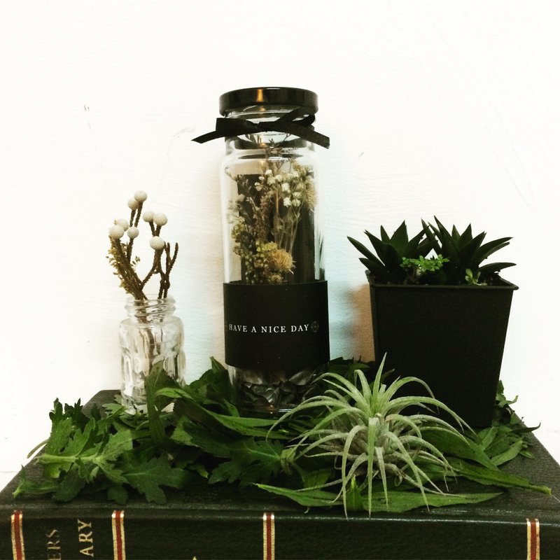 小星星乾燥花禮物玻璃罐 - 盆栽/植栽 - 植物．花 多色
