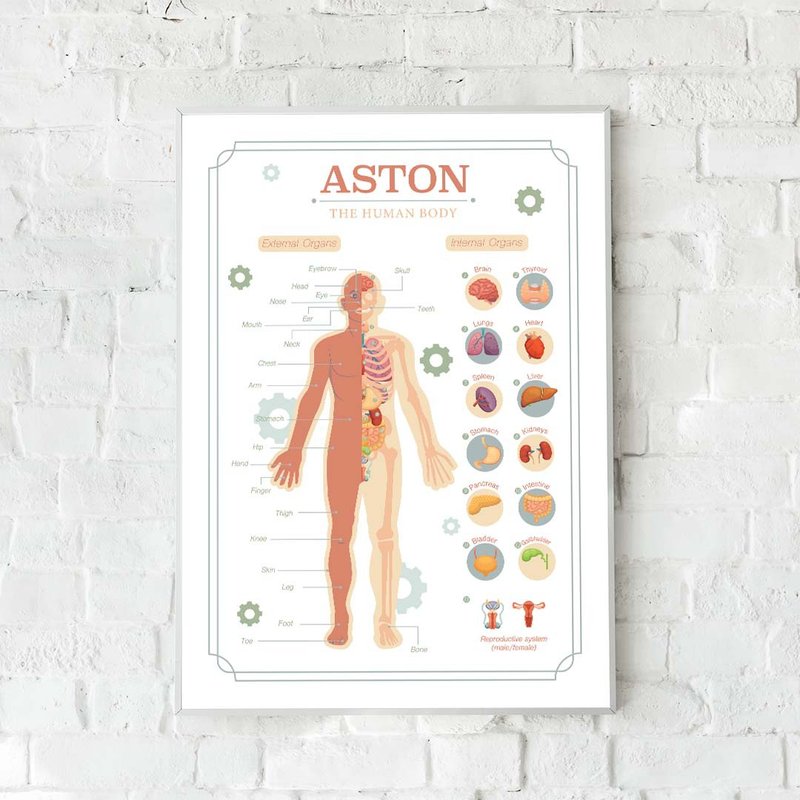 Body Poster with Personalized Name - Educational Poster - Kids Poster - Posters - Paper 