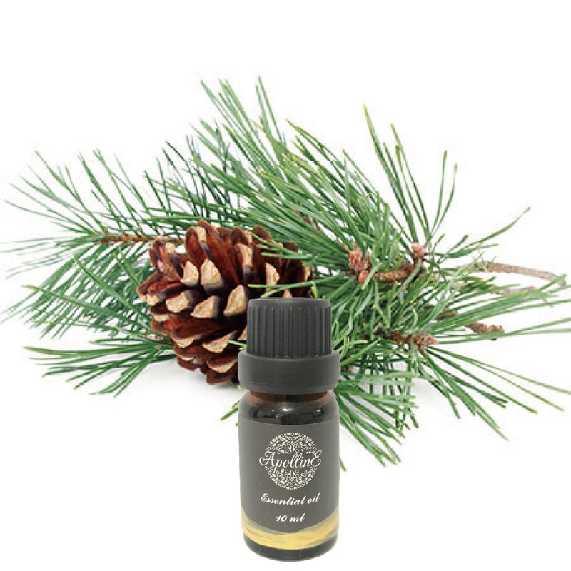 雪松精油 CEDARWOOD - 香氛/精油/擴香 - 精油 