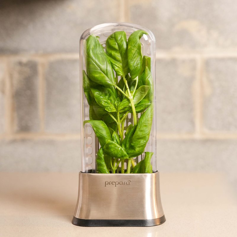 American Prepara Stainless Steel Herb Plant Preserver - เครื่องครัว - วัสดุอื่นๆ สีเงิน