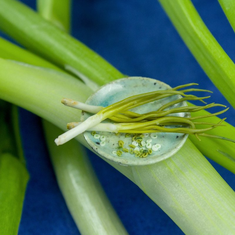 TUTORIAL Miniature green onion with polymer clay | PDF + video - 手工藝教學/工具書 - 其他材質 