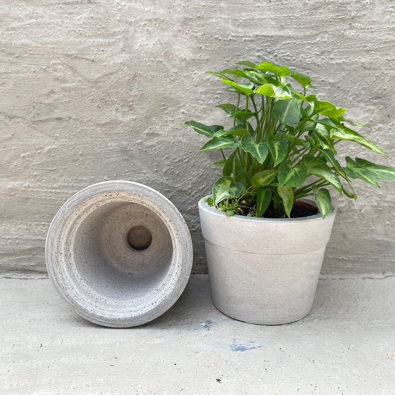 [Doudou Succulent] [Three-inch Cement pot (plant not included)]│Gifts│Indoor plants│Planting - Plants - Cement 