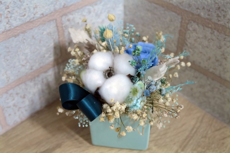 Mansen state dry potted flowers/home decoration/gift/custom - ช่อดอกไม้แห้ง - พืช/ดอกไม้ สีน้ำเงิน