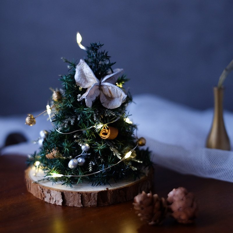 mini christmas tree - ช่อดอกไม้แห้ง - พืช/ดอกไม้ สีเขียว