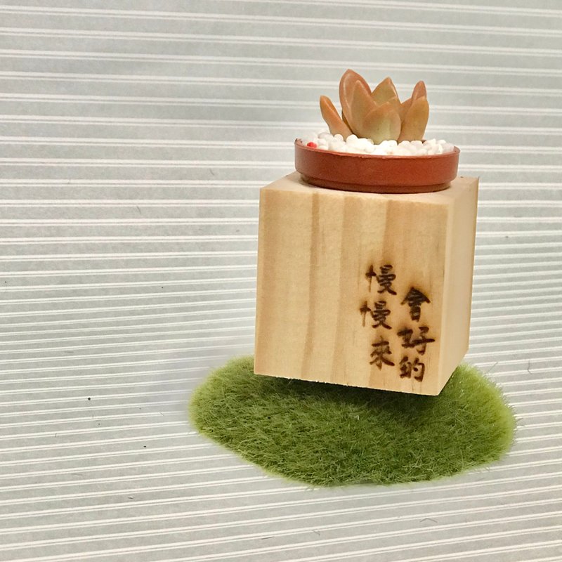 松木磁鐵盆栽 手寫雷雕系列 送多肉植物 - 植栽/盆栽 - 木頭 咖啡色
