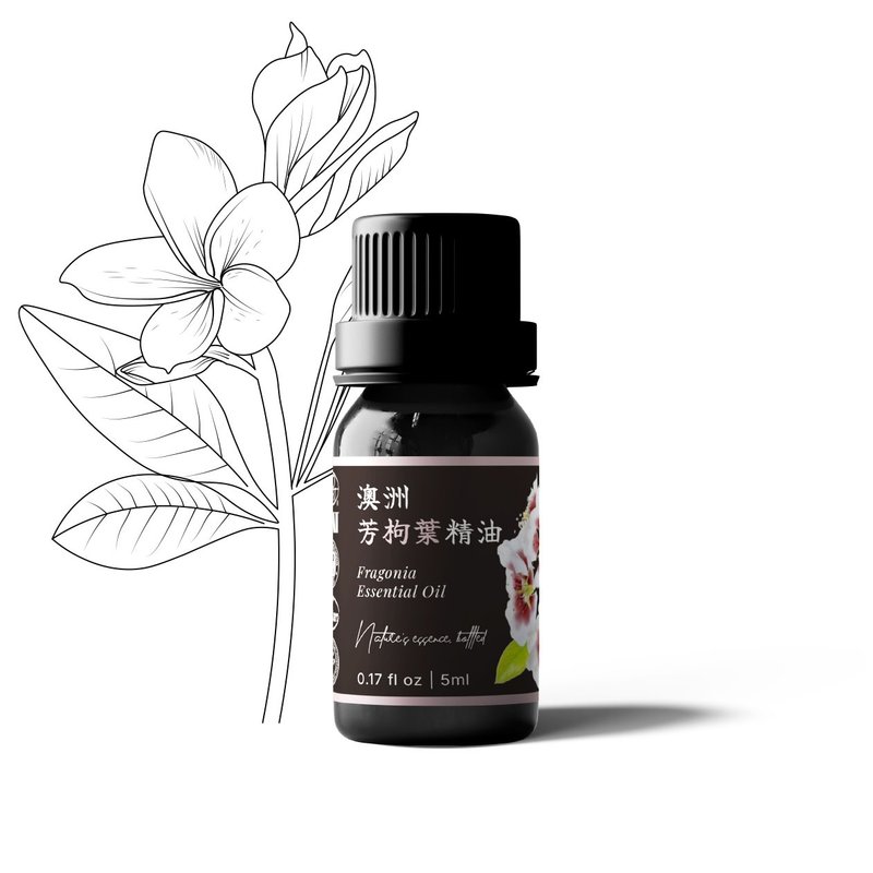 【卡佛香】澳洲芳枸葉精油 - 香氛/精油/擴香 - 玻璃 黑色