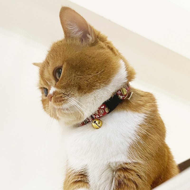 BORNIER cat safety buckle collar Xiangshi Xianrui reflective totem 3 colors 2 sizes - ปลอกคอ - ไนลอน 