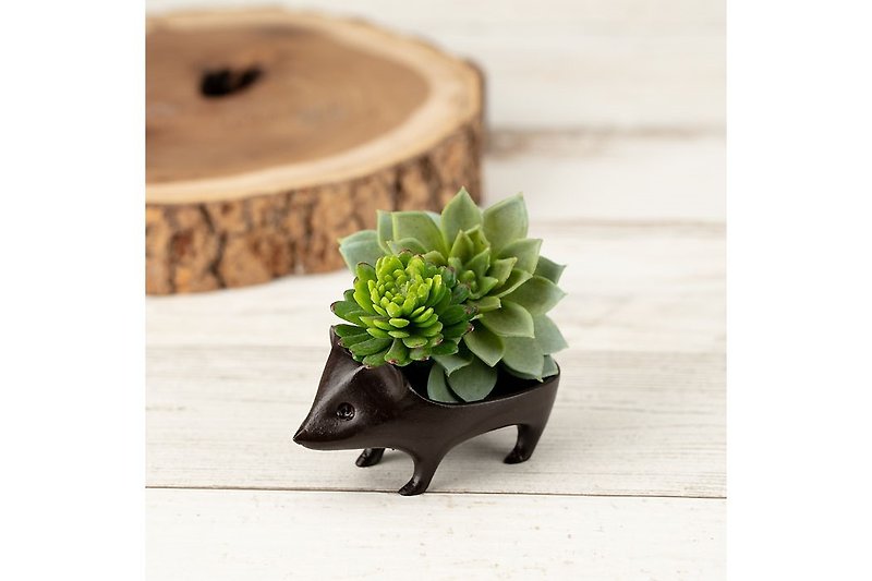 Hedgehog - pup - bronze (without moss) - S - Items for Display - Other Metals Brown