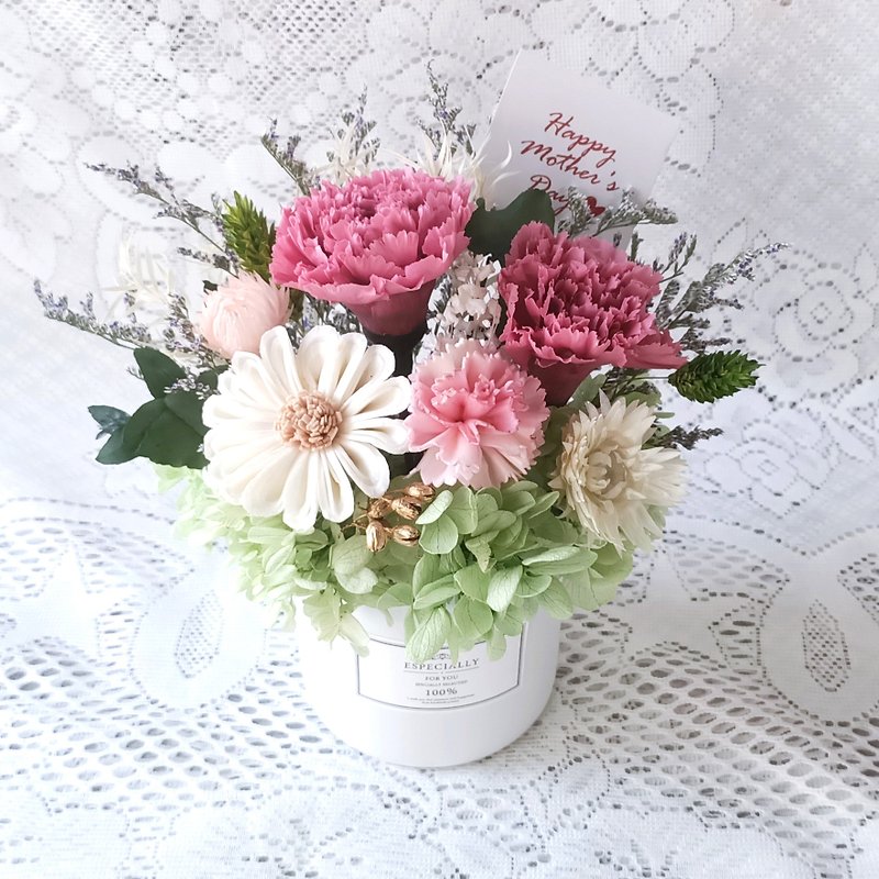 【Sally】Carnation/Mother’s Day/Preserved flowers/potted flowers/gifts - ช่อดอกไม้แห้ง - พืช/ดอกไม้ สึชมพู