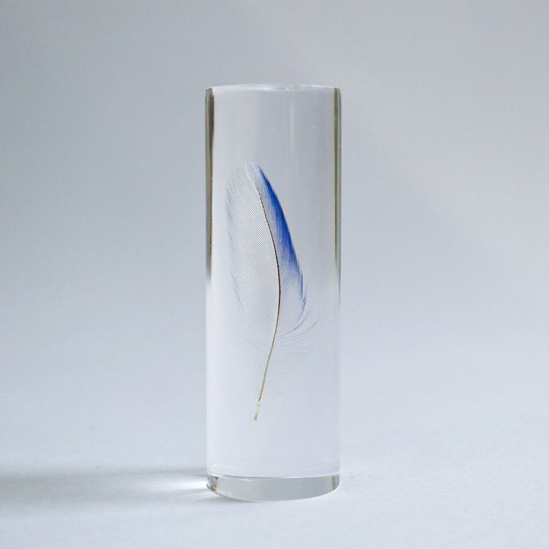 鳥類羽毛標本 虎皮鸚鵡 (藍色) - 擺飾/家飾品 - 羽絨 透明