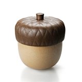 QUALY Acorn Box